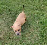 processed/096faa1c-f849-40c9-85d7-ca66ac1cbf9e/listing/ee4db072-3e1a-4806-9dbe-f16fe2b0d08c/28b03583-1eb8-4cf3-896b-c01e51af5557