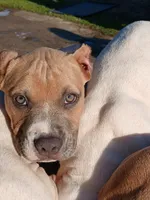 processed/096faa1c-f849-40c9-85d7-ca66ac1cbf9e/listing/ee4db072-3e1a-4806-9dbe-f16fe2b0d08c/4478bec5-8ce8-49a4-ac5c-a15cbd7197a3