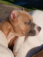 processed/096faa1c-f849-40c9-85d7-ca66ac1cbf9e/listing/ee4db072-3e1a-4806-9dbe-f16fe2b0d08c/bfebcabd-2a65-4cf6-b077-ea12396a3d45