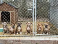 Facility photo