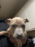 processed/0979d684-f0db-4297-8c9e-ce6e2eed490b/listing/3e4325af-a267-4025-8c76-6870bfe000b3/49c3af53-8905-4a3c-b743-479aacb79fb8