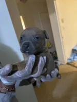 processed/0979d684-f0db-4297-8c9e-ce6e2eed490b/listing/3e4325af-a267-4025-8c76-6870bfe000b3/568d7984-af0f-40fe-80f7-a6e958e3d7ea