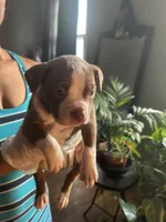 processed/0979d684-f0db-4297-8c9e-ce6e2eed490b/listing/47503300-3e3e-4812-8b25-2d1fe0998cb7/59f00067-181b-4258-9af8-fec7a7fa0bb6