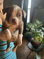 processed/0979d684-f0db-4297-8c9e-ce6e2eed490b/listing/47503300-3e3e-4812-8b25-2d1fe0998cb7/a05ec776-c72f-4d88-bedd-95883c149655