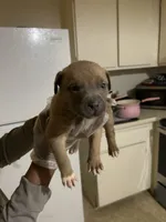 processed/0979d684-f0db-4297-8c9e-ce6e2eed490b/listing/e8db141a-bc68-41ae-a5af-8e694f742234/3d967d04-ed75-41f6-9063-e99b706781d5