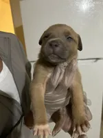 processed/0979d684-f0db-4297-8c9e-ce6e2eed490b/listing/e8db141a-bc68-41ae-a5af-8e694f742234/c199a5fb-5fe2-491e-b9ef-10c3f6b4f6b2