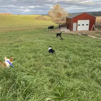 processed/0986a05c-3c50-451e-9b96-d22e53f0d16e/facility/36c12389-de1f-438b-8d8c-5a46fb4477a9