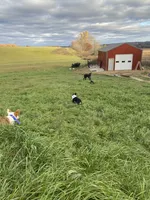 processed/0986a05c-3c50-451e-9b96-d22e53f0d16e/facility/36c12389-de1f-438b-8d8c-5a46fb4477a9