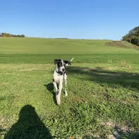 processed/0986a05c-3c50-451e-9b96-d22e53f0d16e/facility/73612ef6-09a3-416c-8e98-53e7197f3364