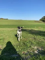 processed/0986a05c-3c50-451e-9b96-d22e53f0d16e/facility/73612ef6-09a3-416c-8e98-53e7197f3364