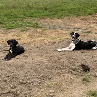 processed/0986a05c-3c50-451e-9b96-d22e53f0d16e/facility/77d676f7-b6d6-4402-9b87-5ab9ec7b62c2