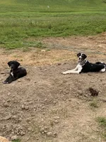 processed/0986a05c-3c50-451e-9b96-d22e53f0d16e/facility/77d676f7-b6d6-4402-9b87-5ab9ec7b62c2