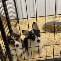 processed/0986a05c-3c50-451e-9b96-d22e53f0d16e/facility/7be9f2b7-a493-4635-873f-22e818cffdd1