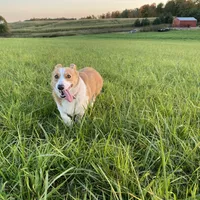 processed/0986a05c-3c50-451e-9b96-d22e53f0d16e/facility/9d8c3db2-bf0e-439d-a6ae-091eac33a5b3