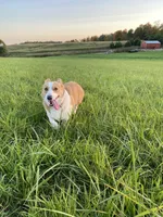 processed/0986a05c-3c50-451e-9b96-d22e53f0d16e/facility/9d8c3db2-bf0e-439d-a6ae-091eac33a5b3