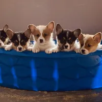 processed/0986a05c-3c50-451e-9b96-d22e53f0d16e/facility/c9c353a1-8520-470d-9b27-f9595997d9e0