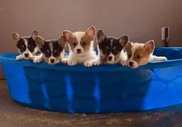 processed/0986a05c-3c50-451e-9b96-d22e53f0d16e/facility/c9c353a1-8520-470d-9b27-f9595997d9e0