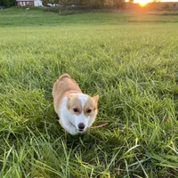 processed/0986a05c-3c50-451e-9b96-d22e53f0d16e/facility/e0203ea8-edc4-4708-9df8-6380243d5d03