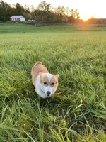 processed/0986a05c-3c50-451e-9b96-d22e53f0d16e/facility/e0203ea8-edc4-4708-9df8-6380243d5d03