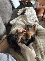 processed/098aeb0c-0df9-4992-8b6b-3f4cc58a322e/listing/19d219c7-6b5b-4619-bdd7-b6f74f72249b/26768b46-c7ed-4bae-a441-97def989ae3a