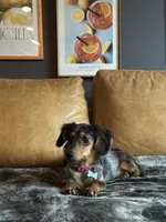 processed/098aeb0c-0df9-4992-8b6b-3f4cc58a322e/listing/19d219c7-6b5b-4619-bdd7-b6f74f72249b/58028ba0-271e-4675-bb24-739a59d8943c