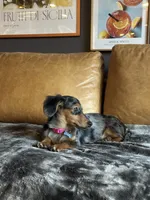 processed/098aeb0c-0df9-4992-8b6b-3f4cc58a322e/listing/19d219c7-6b5b-4619-bdd7-b6f74f72249b/dbe39317-2f8b-4571-99fc-e73aeb492520