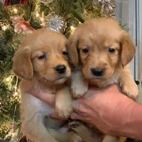 processed/09956e57-781b-49ea-9f13-3edd4ee640ce/facility/4074f006-6831-4485-b472-1d76946f3e35