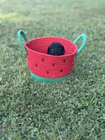 Black Toy, a male Poodle - Toy  for sale in Cartersville, GA – 1 of 7