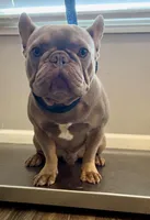 processed/0997b28f-3740-4f94-b955-a56c2fa1bed8/listing/78158a6f-c1e4-46b6-85c6-ba7f99b8f794/6af30819-8791-4be3-bdef-2c1a22da1a5c