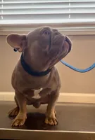 processed/0997b28f-3740-4f94-b955-a56c2fa1bed8/listing/78158a6f-c1e4-46b6-85c6-ba7f99b8f794/ced44277-03fb-446c-9909-6743f3aee679