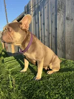 processed/0997b28f-3740-4f94-b955-a56c2fa1bed8/listing/ed43c6d4-593e-4798-a732-27a903118361/b1aac9bc-b004-4bd3-a54d-f81da97d6d55