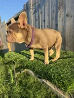 processed/0997b28f-3740-4f94-b955-a56c2fa1bed8/listing/ed43c6d4-593e-4798-a732-27a903118361/f42536e4-17aa-48b3-898b-a127d5e5561f