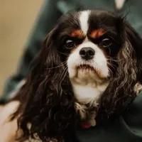 processed/09a7e1ae-b0f6-4fd9-98ba-65e881fa8b33/facility/0113c21d-cf7c-4532-94f2-5ee92dbac20f