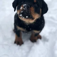 processed/09a7e1ae-b0f6-4fd9-98ba-65e881fa8b33/facility/02e30739-1478-48ca-996d-145856a0f628