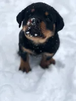 processed/09a7e1ae-b0f6-4fd9-98ba-65e881fa8b33/facility/02e30739-1478-48ca-996d-145856a0f628