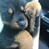 processed/09a7e1ae-b0f6-4fd9-98ba-65e881fa8b33/facility/1c7baafa-088d-4988-865e-5dcaee66dad6