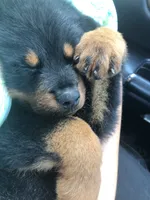 processed/09a7e1ae-b0f6-4fd9-98ba-65e881fa8b33/facility/1c7baafa-088d-4988-865e-5dcaee66dad6