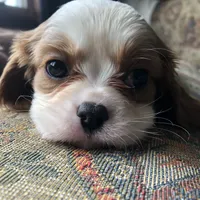 processed/09a7e1ae-b0f6-4fd9-98ba-65e881fa8b33/facility/25bbd628-0153-439d-99c6-594a5cd131f7