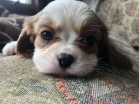 processed/09a7e1ae-b0f6-4fd9-98ba-65e881fa8b33/facility/25bbd628-0153-439d-99c6-594a5cd131f7