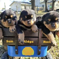 processed/09a7e1ae-b0f6-4fd9-98ba-65e881fa8b33/facility/294c397b-1bca-4d95-89bd-72c0cc26db4b