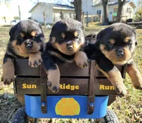 processed/09a7e1ae-b0f6-4fd9-98ba-65e881fa8b33/facility/294c397b-1bca-4d95-89bd-72c0cc26db4b