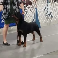 processed/09a7e1ae-b0f6-4fd9-98ba-65e881fa8b33/facility/4a10a68f-5dfb-4c75-8eb2-35c175be914f