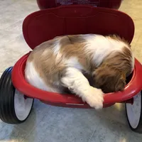 processed/09a7e1ae-b0f6-4fd9-98ba-65e881fa8b33/facility/7725258e-620a-455b-95b6-d7ca3de41f0d