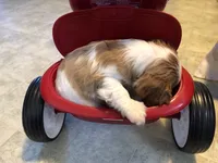 processed/09a7e1ae-b0f6-4fd9-98ba-65e881fa8b33/facility/7725258e-620a-455b-95b6-d7ca3de41f0d