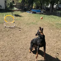 processed/09a7e1ae-b0f6-4fd9-98ba-65e881fa8b33/facility/ac76fde0-08db-42af-bed5-2000cd752cb4