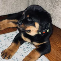 processed/09a7e1ae-b0f6-4fd9-98ba-65e881fa8b33/facility/b20c5160-739d-4582-88b3-ba2818d6c70a