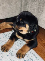 processed/09a7e1ae-b0f6-4fd9-98ba-65e881fa8b33/facility/b20c5160-739d-4582-88b3-ba2818d6c70a