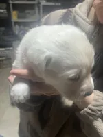 processed/09a89435-71de-4e87-bab7-82c2d64ec0ba/listing/5fec24c3-a3e2-4f25-a399-14c2de378cbd/d8793d2c-337a-44e2-a35a-e94f235f0f1a