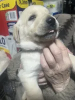 processed/09a89435-71de-4e87-bab7-82c2d64ec0ba/listing/b54a3050-9667-4989-83eb-514cb857a503/5ebcab8b-b82a-4d4d-8d66-2cddb819b1a9