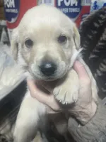 processed/09a89435-71de-4e87-bab7-82c2d64ec0ba/listing/b54a3050-9667-4989-83eb-514cb857a503/77916f6b-2daf-4947-bc26-a8af539688c8